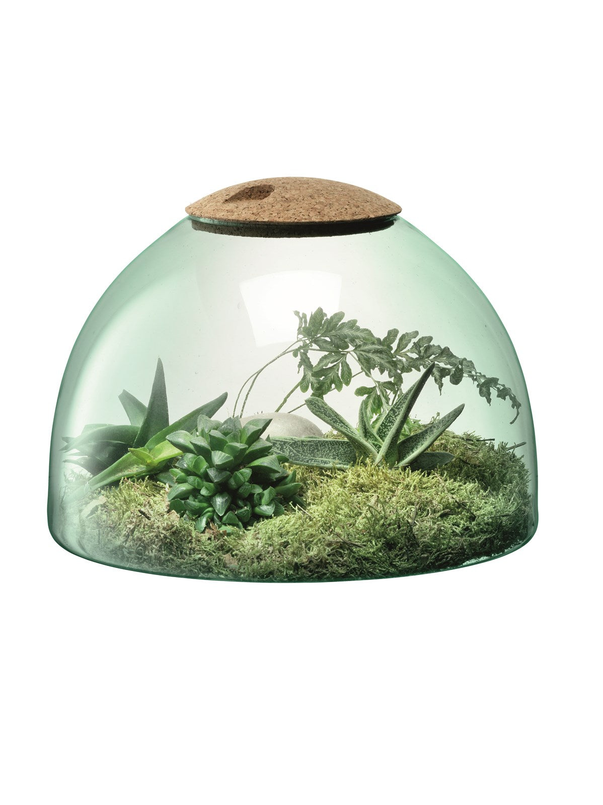 Canopy Geschlossenes Garten H22cm - recy. Optik in Klar präsentiert im Onlineshop von KAQTU Design AG. Vase ist von LSA