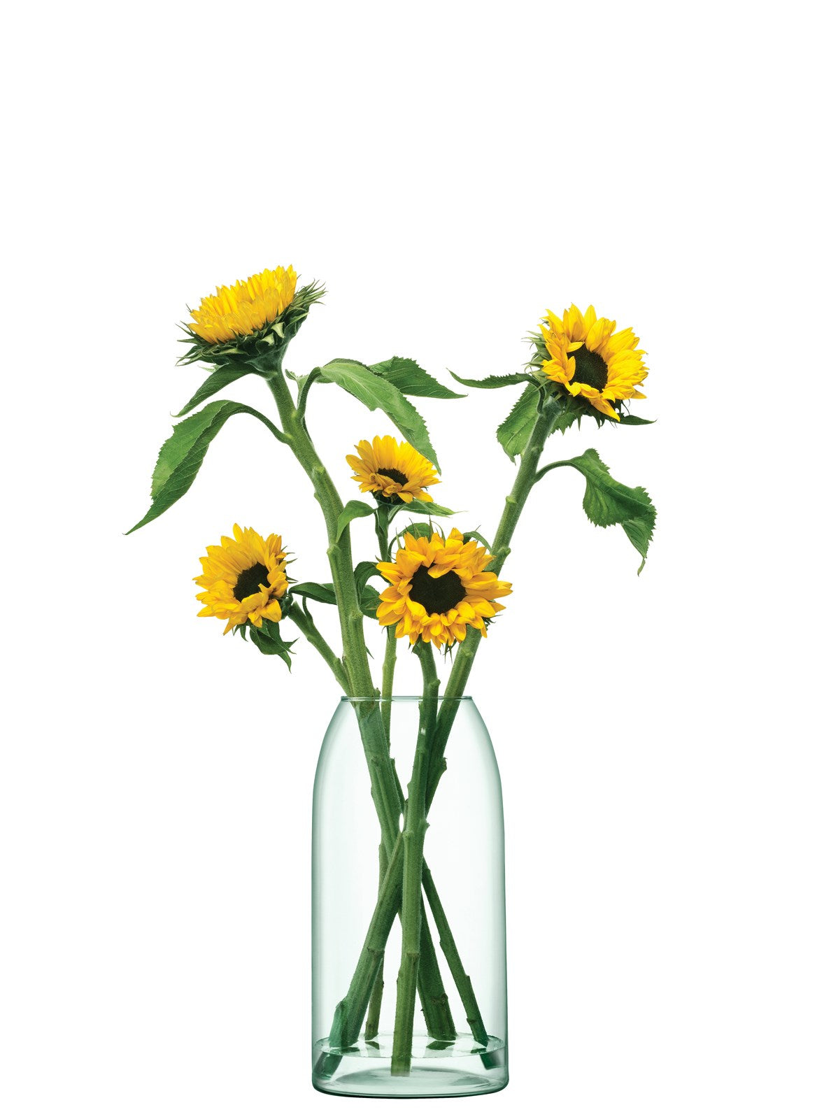Canopy Vase H32cm recy. Optik in Transparent präsentiert im Onlineshop von KAQTU Design AG. Vase ist von LSA